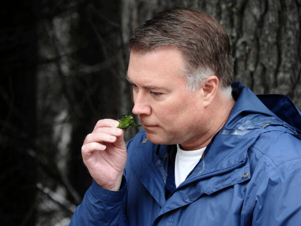 One sure way to make sure you’ve got garlic mustard is to crush and leaf under your nose, as Adam Haecker, Coordinator for the Northwoods Cooperative Weed Management Area (NCWMA) demonstrates here. The pungent odor is unmistakable!