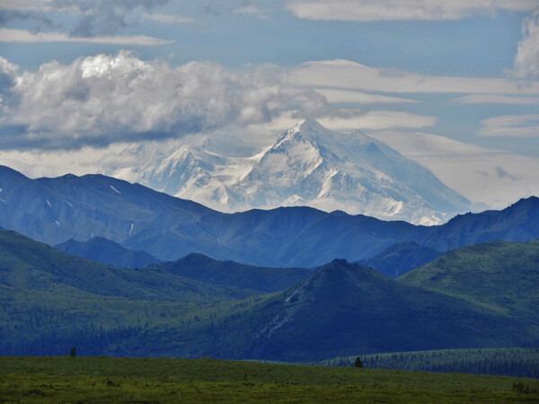 Denali (previously known also as Mount McKinley) is the highest mountain peak in North America. Its peaks are often shrouded in clouds. Photo by Emily Stone.