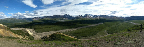 The Polychrome Overlook at Mile 46 on Park Road is a spectacular vista. Photo by Emily Stone. 
