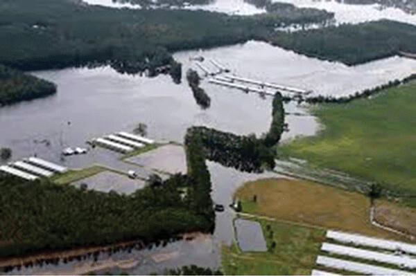 A North Carolina CAFO after the flooding that made invisible the submerged lagoons with waste eventually entering rivers that drain into North Carolina’s Atlantic Ocean Dead Zone 