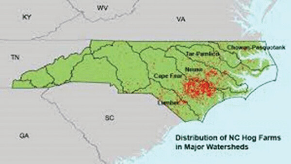 Red dots represent one of the 2,100 Hog CAFOs in North Carolina. Note the concentration of the  CAFOs in the Cape Fear estuary, which was hardest hit by Hurricane Florence (2018). 