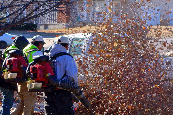 Upwards of 170 American cities in 31 states (as well as five cities in three Canadian provinces) have some  kind of leaf blower restrictions already in place. Credit: Dean Hochman, FlickrCC.