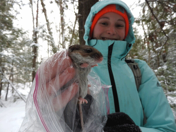 Ally and mouse: Ally Moser Scott, a master’s student at UW-Madison, is catching and counting mice and other small mammals near Clam Lake this winter. Photo by Emily Stone.