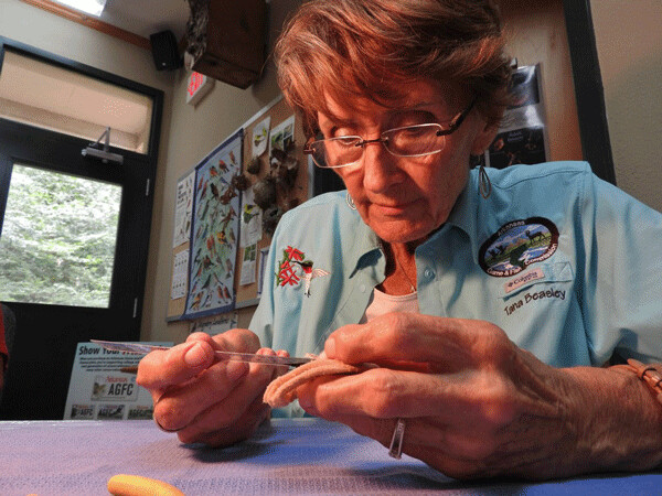 Tana Beasley is the only Master Hummingbird Bander in the state of Arkansas. Photo by Emily Stone.