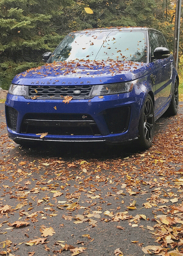 When the rain and wind brought down the leaves, they bowed down for the parked Range Rover Sport. Photo credit: John Gilbert