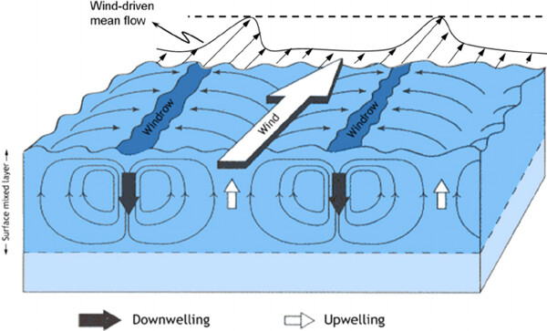 Diagram of Langmuir Circulation by Andrés E. Tejada-Martínez. From: Tejada-Martínez, Andrés & Akkerman, Ido & Bazilevs, Yuri. (2012). Large-Eddy Simulation of Shallow Water Langmuir Turbulence Using Isogeometric Analysis and the Residual-Based Variational Multiscale Method. Journal of Applied Mechanics. 576. 63-108. 10.1115/1.4005059].
