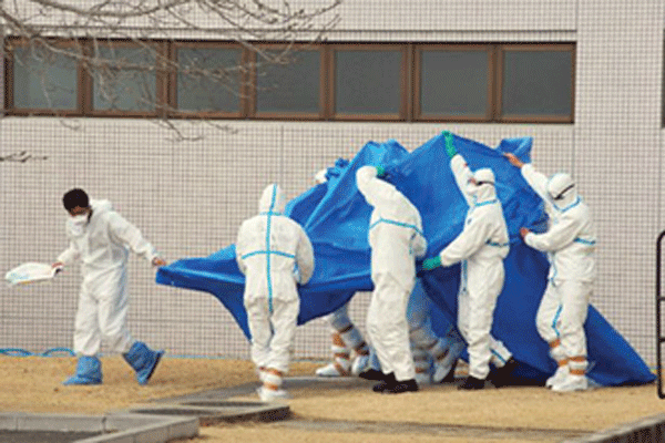 Japan Self-Defense Force officers in radiation protection suits hold a blue sheet over patients who were exposed to high levels of radiation during evacuation from Fukushima-Daiichi. A recent criminal indictment alleges that 44 hospitalized elderly people died during their evacuation. Photo: Getty Images.