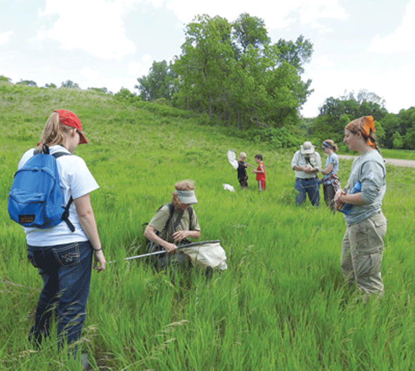 Self-taught entomologist MJ Hatfield (center) catches insects and spiders in a native prairie. Photo by Emily Stone.