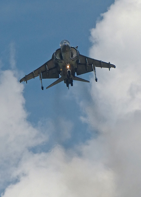 Harrier Jet. Photo credit: John Gilbert