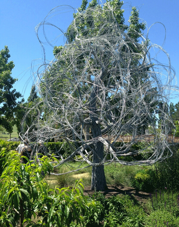 Cornerstone Gardens, Sonoma, CA,Tree with steel wire branches. Photo credit: Sam Black