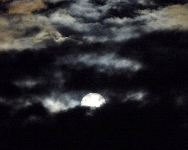 The second night of July’s full moon stayed hidden until it was high in the sky, then it squeezed through a small opening in the clouds, teasing us all. Photo credit: John Gilbert