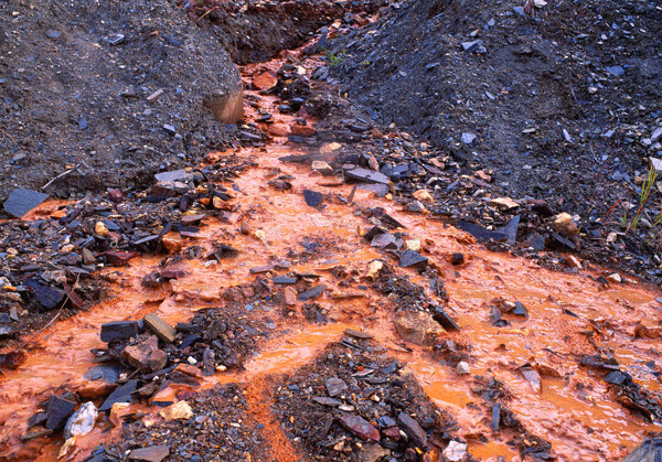 Acid mine drainage from an abandoned gold mining site in Kantishna Mining District, Denali National Park, Alaska