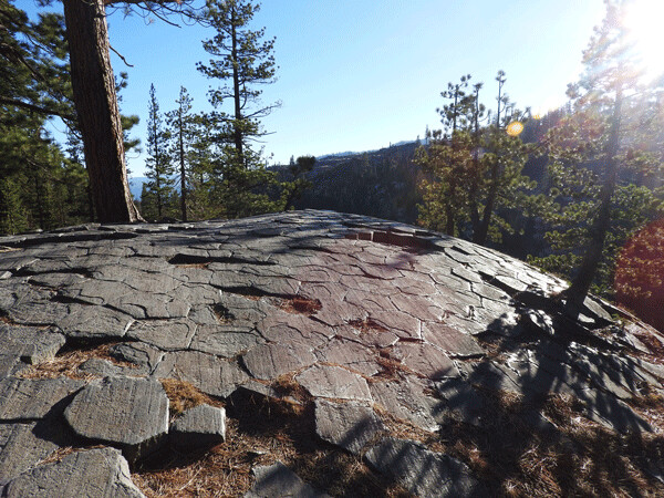 The top of the Devils Postpile formation has been uncovered and polished by the action of glaciers. The erosion revealed an amazingly regular pattern of hexagonal fractures that formed as a lake of lava cooled 82,000 years ago. Photo by Emily Stone.