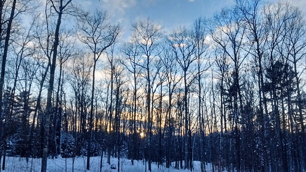 The last rays of the solstice sun shine along a wooded ski trail. Photo by Emily Stone.