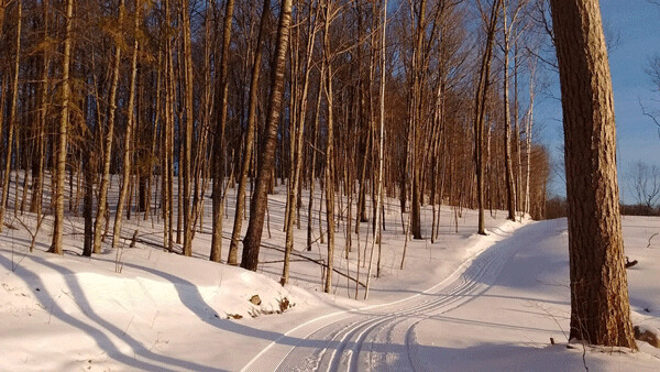 Lots of solo time on lovely ski trails was a highlight of Birkie training. Photo by Emily Stone.