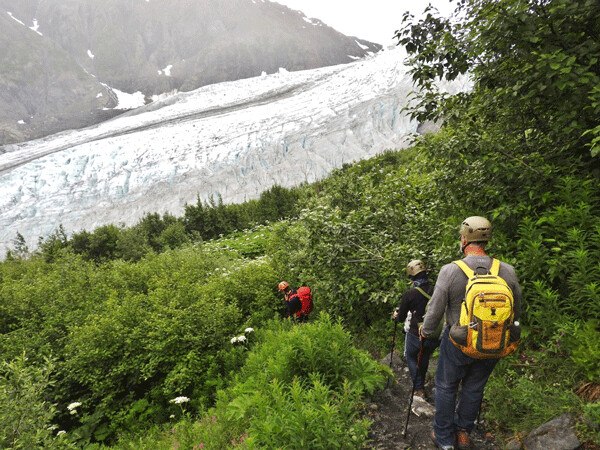 It was an abrupt transition from lush meadows down to fresh gravel and then onto the ice. Exit Glacier is shrinking, so the hike keeps getting longer. Photo by Emily Stone.