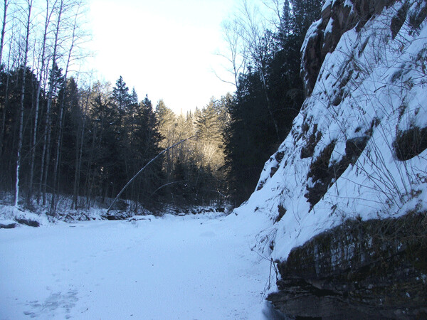 Icy banks on Mission Creek. Photo credit: John Ramos
