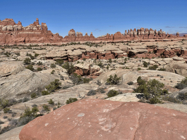The Needles District of Canyonlands National Park in Southwest Utah boasts an incredible geology on both big and small scales. Photo by Emily Stone.