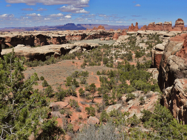 The Needles District of Canyonlands National Park is a spectacular landscape with plenty of nooks and crannies in which to discover beautiful surprises. Photo by Emily Stone. 