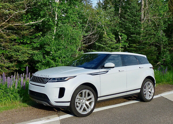 The Evoque looks at home downtown, at the mall, off-roading, or relaxing next to lupines thriving alongside the road. Photo credit: John Gilbert