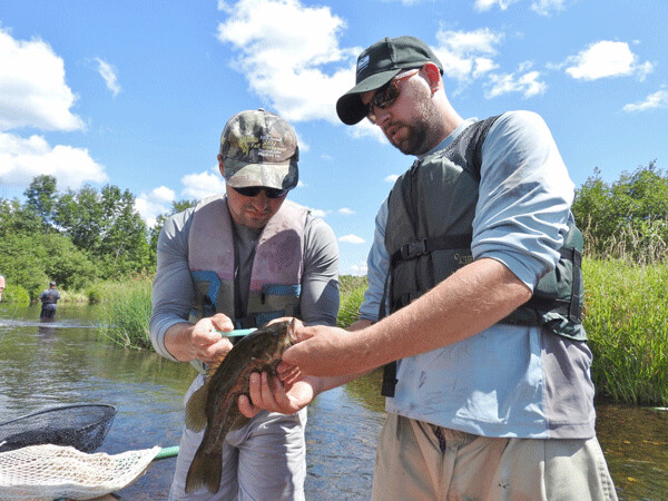 Jake McCusker (left) was job shadowing during this survey on the Couderay. Max gave him quite a bit of practice injecting the research tags into smallmouth bass. Photo by Emily Stone.