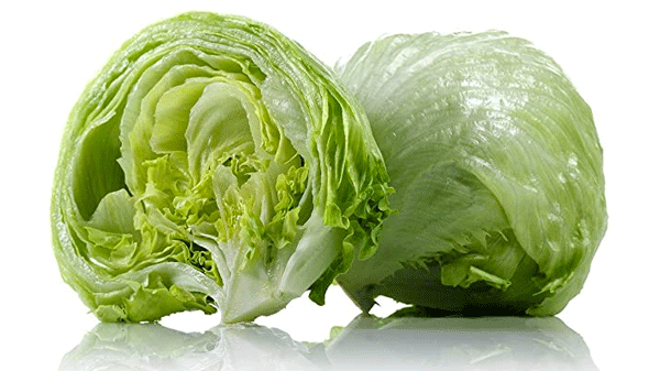 Core iceberg lettuce