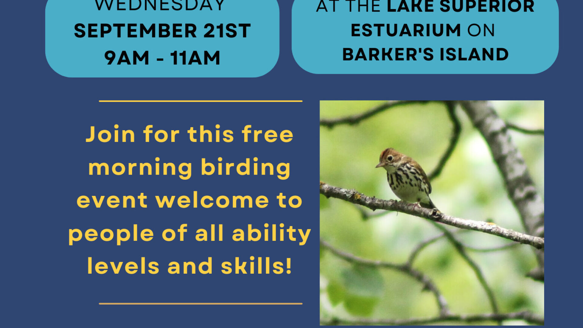 Image result for Accessible Bird Observing - Lake Superior Estuarium