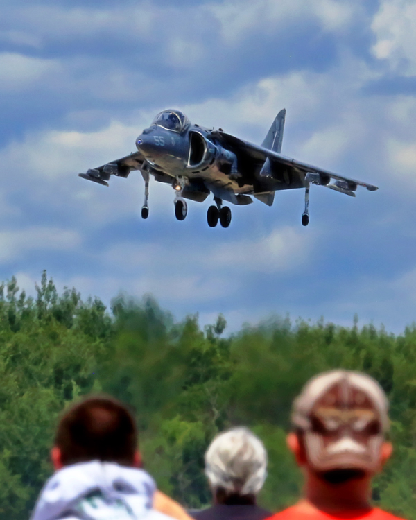 Hovering Harrier.  Photo credit: John Heino