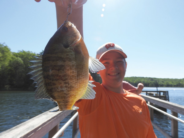 Bode Rasmussen shows of his catch. Plentiful bluegills kept the boys busy for hours. Photo by Emily Stone.